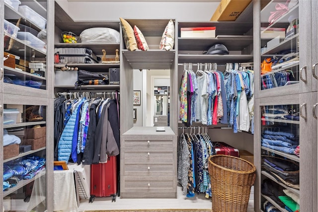 view of walk in closet