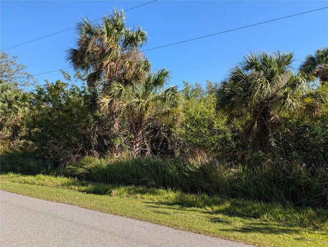 13057 Batlin Ave, Port Charlotte, FL 33953 - photo 3
