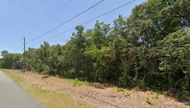 Olive Dr, Ocala FL, 34472 land for sale