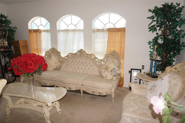 view of carpeted living area