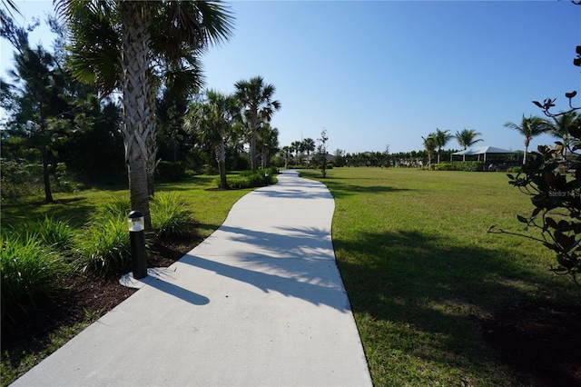 view of community featuring a lawn