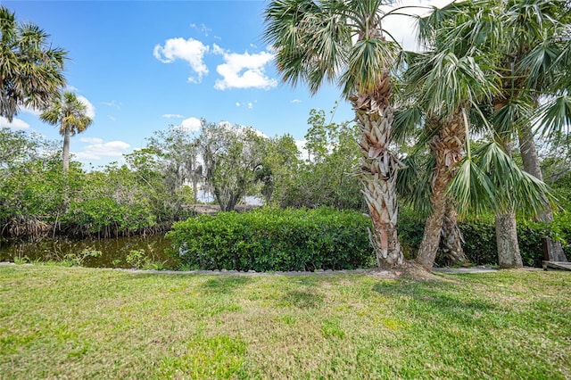 5036 San Rocco Ct, Punta Gorda, FL 33950 - view of yard