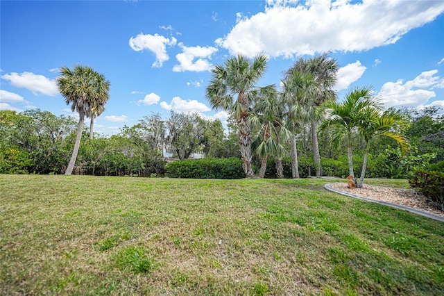 5036 San Rocco Ct, Punta Gorda, FL 33950 - view of yard