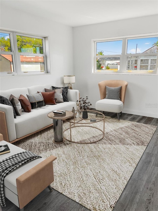 living area featuring wood finished floors