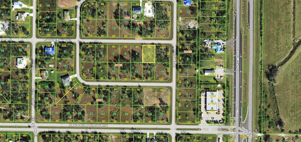 29473 Passion Flower St, Punta Gorda, FL 33982 - photo 1