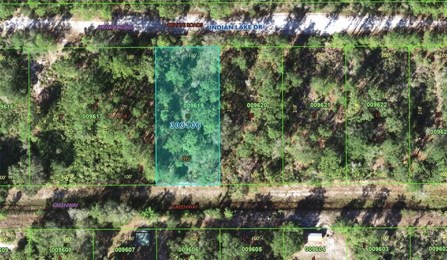 0 Indian Lake Dr, Indian Lake Estates, FL 33855 - photo 1