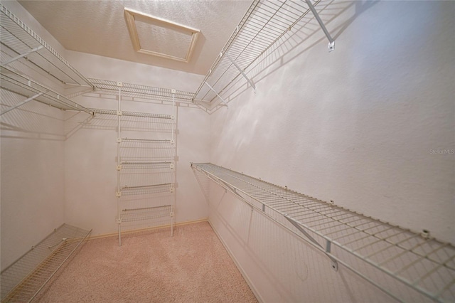 3753 Aba Ln, North Port, FL 34287 - walk in closet featuring light carpet