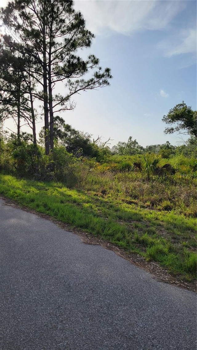 12470 Benner Ln, Port Charlotte, FL 33953