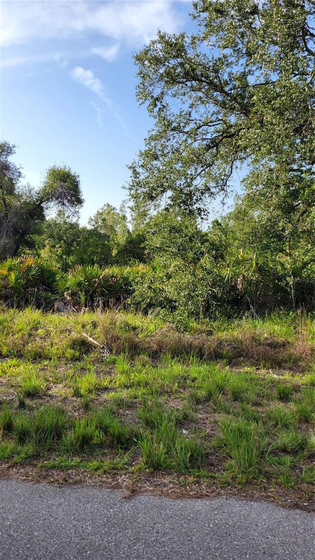 12470 Benner Ln, Port Charlotte, FL 33953