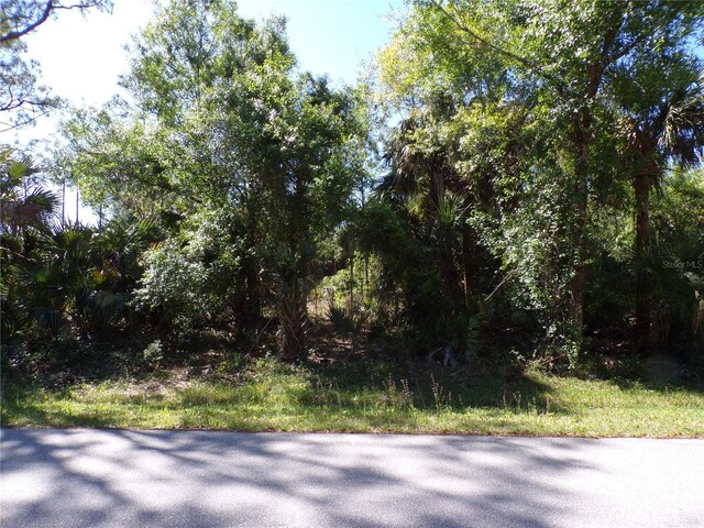 12115 Estrella Blvd, Punta Gorda, FL 33955 - photo 2