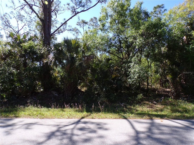 12115 Estrella Blvd, Punta Gorda, FL 33955 - photo 5