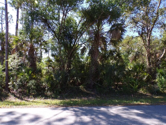 12115 Estrella Blvd, Punta Gorda, FL 33955 - photo 6