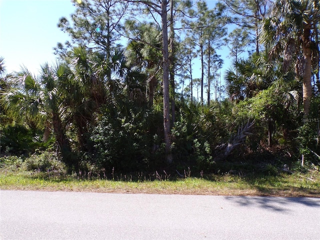 12115 Estrella Blvd, Punta Gorda, FL 33955 - photo 8