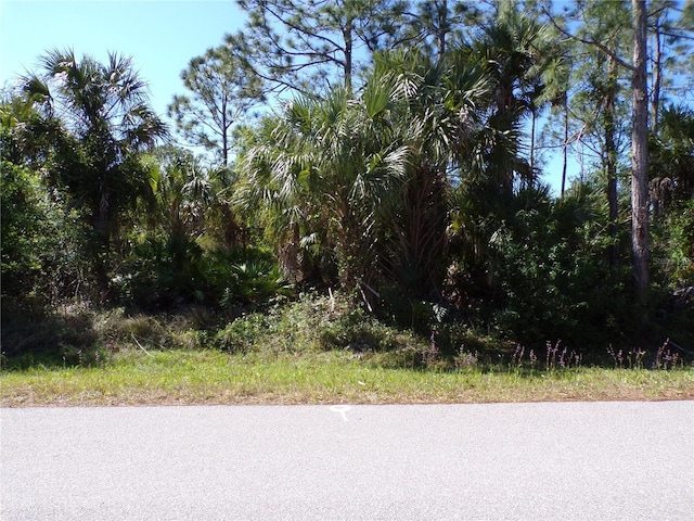 12115 Estrella Blvd, Punta Gorda, FL 33955 - photo 10
