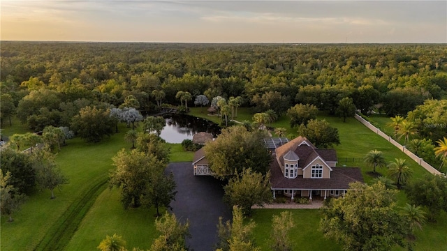 9990 SW Peace River St, Arcadia, FL 34269 - view of subject property featuring a heavily wooded area and a large body of water