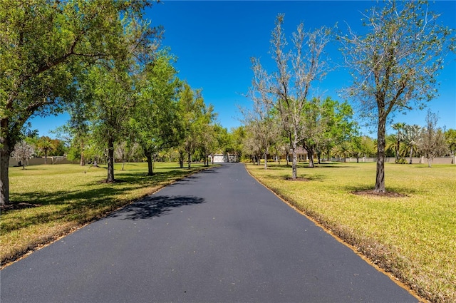9990 SW Peace River St, Arcadia, FL 34269 - view of asphalt driveway