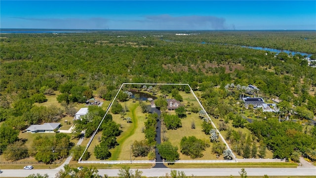 9990 SW Peace River St, Arcadia, FL 34269 - aerial view of property's location with a large body of water and property parcel outlined