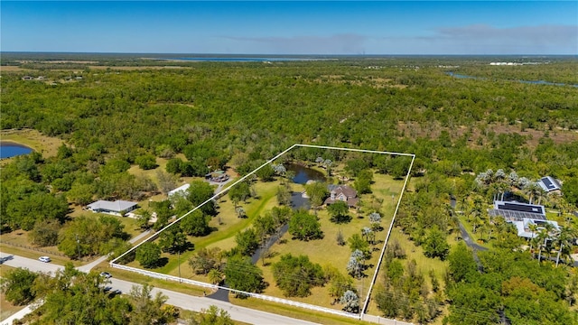 9990 SW Peace River St, Arcadia, FL 34269 - aerial view of property's location with a heavily wooded area and property parcel outlined