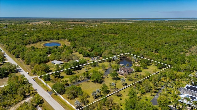 9990 SW Peace River St, Arcadia, FL 34269 - view of property location with a heavily wooded area and property parcel outlined