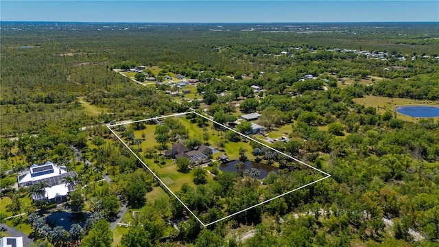 9990 SW Peace River St, Arcadia, FL 34269 - bird's eye view of a nearby body of water