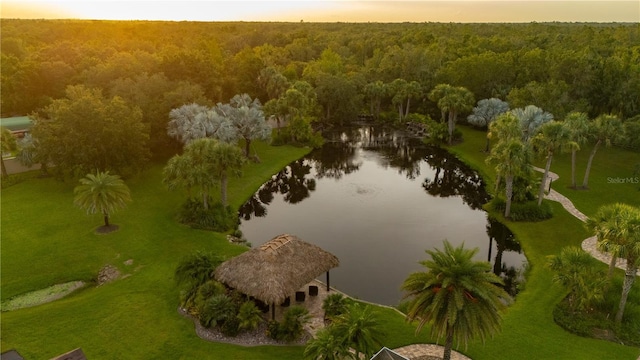 9990 SW Peace River St, Arcadia, FL 34269 - bird's eye view of a forest and a large body of water