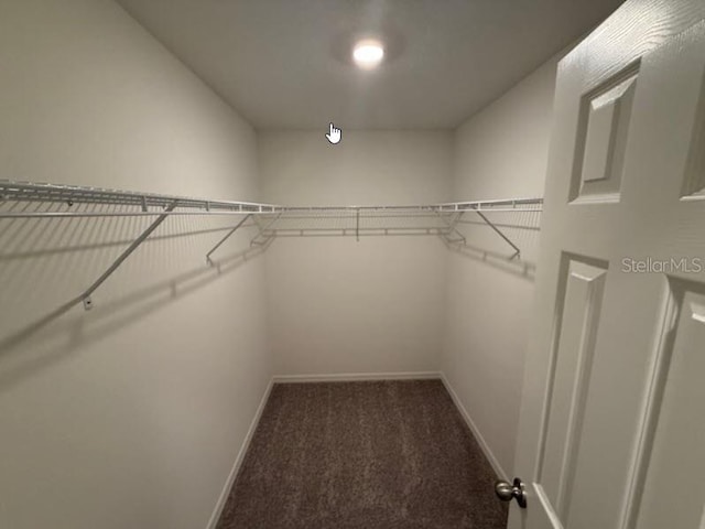 12 Royal Leaf Ln, Palm Coast, FL 32164 - spacious closet with carpet