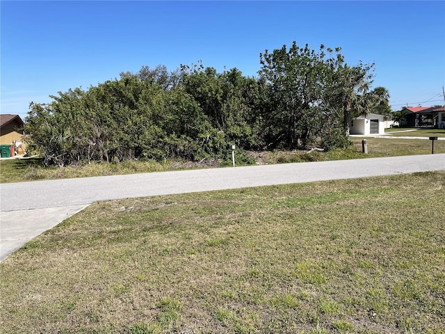 view of yard featuring driveway