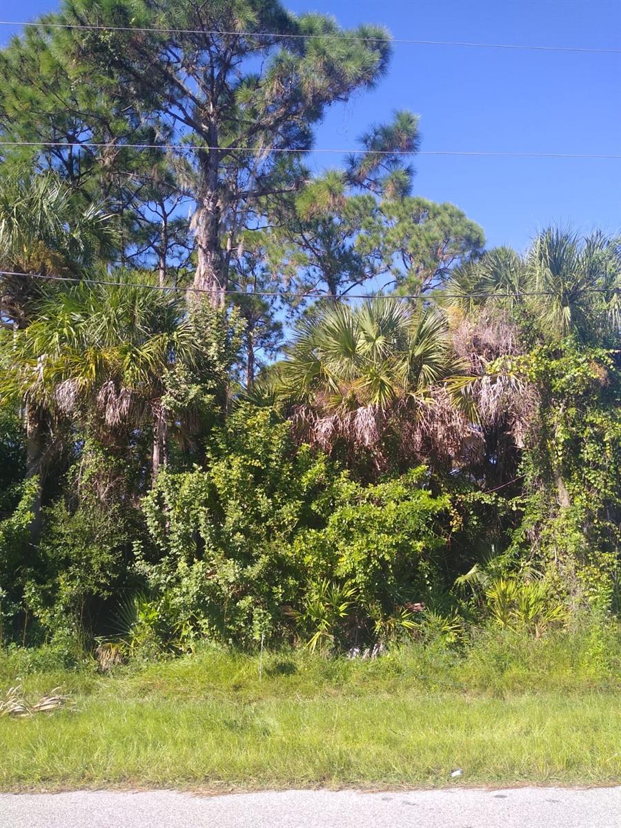 5409 Callaway St, Port Charlotte, FL 33981 - photo 1