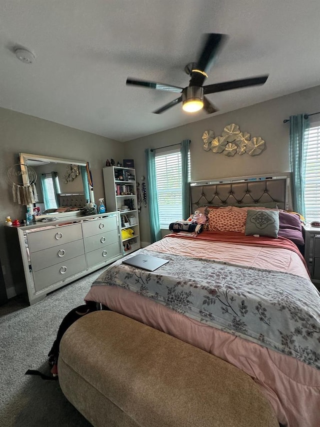 22223 Seyburn Ter, Port Charlotte, FL 33954 - carpeted bedroom with ceiling fan, multiple windows, and a textured ceiling