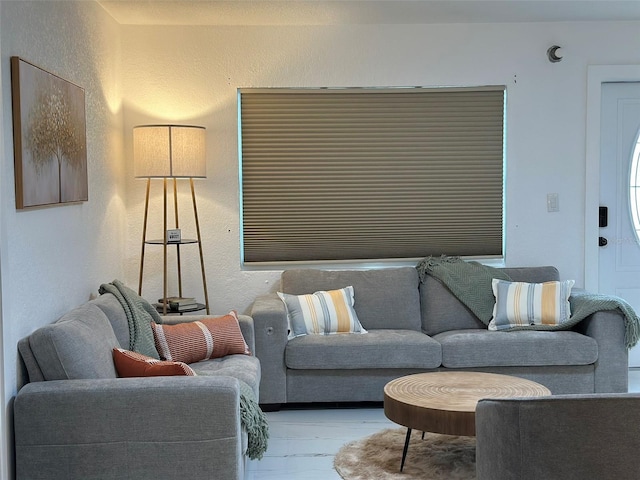 living area featuring light wood finished floors