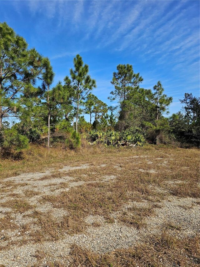 905 Wabasso Pl, Lehigh Acres, FL 33974 - photo 2