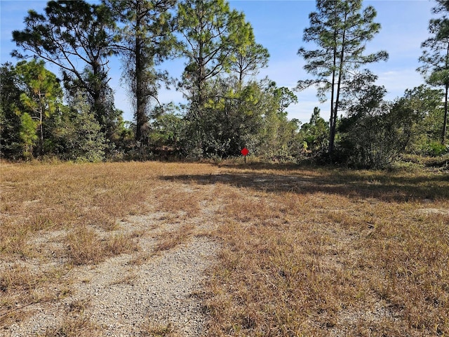 905 Wabasso Pl, Lehigh Acres, FL 33974 - photo 3