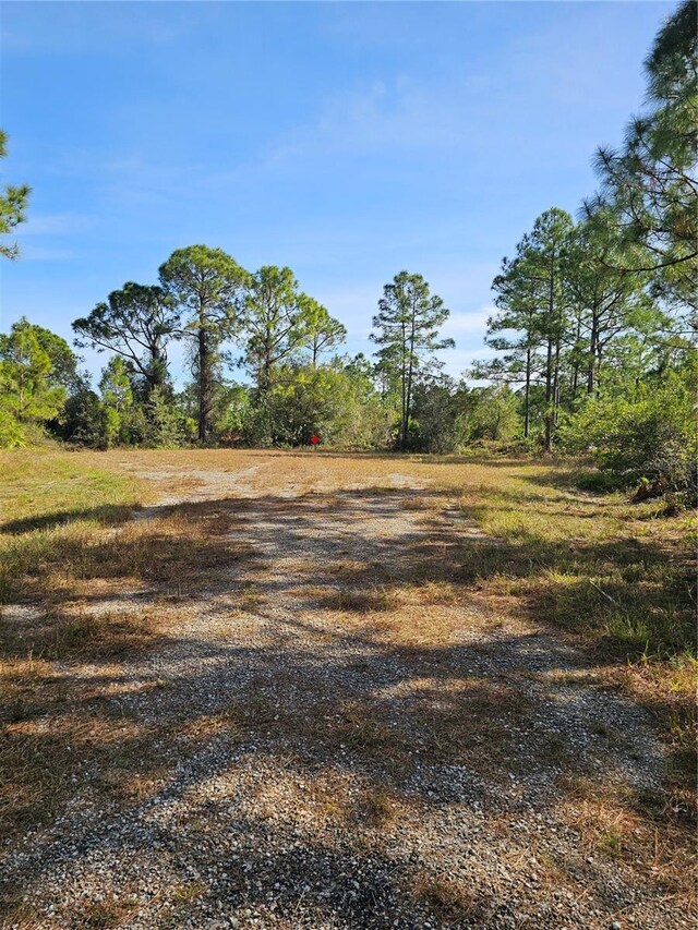 905 Wabasso Pl, Lehigh Acres, FL 33974 - photo 4