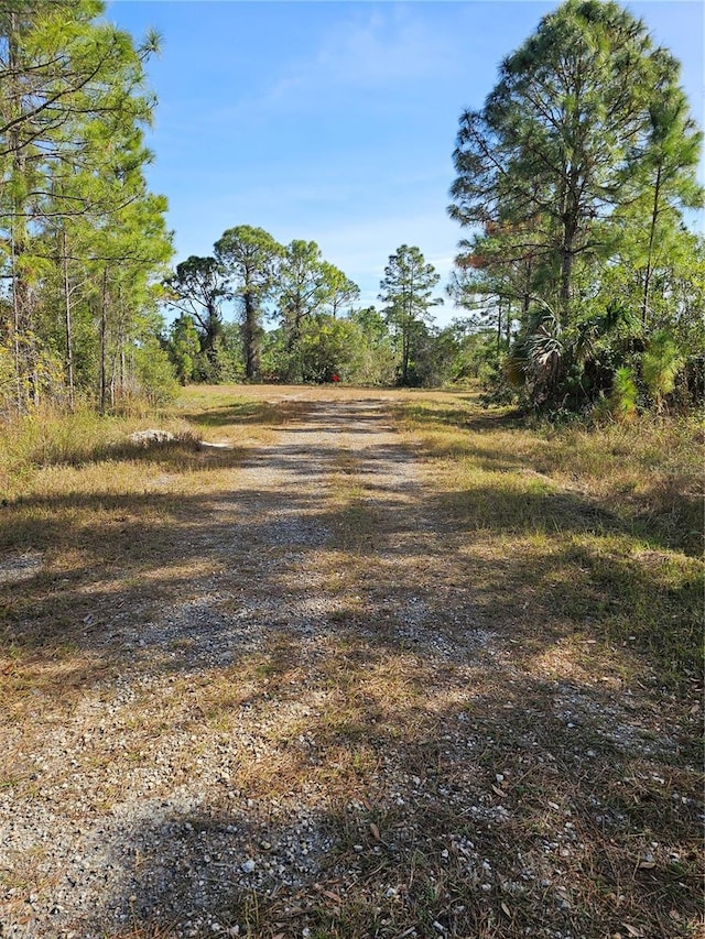 905 Wabasso Pl, Lehigh Acres, FL 33974 - photo 5