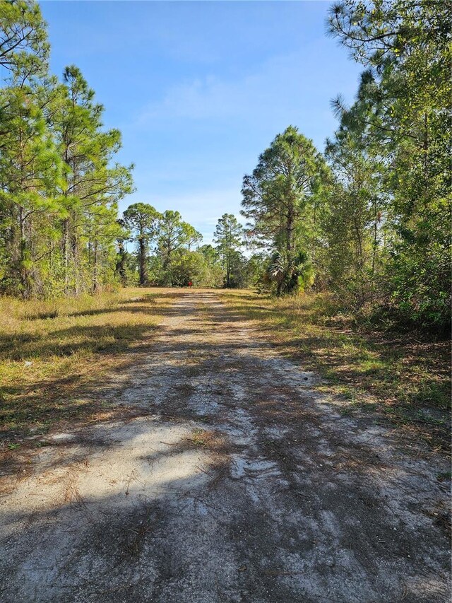 905 Wabasso Pl, Lehigh Acres, FL 33974 - photo 6