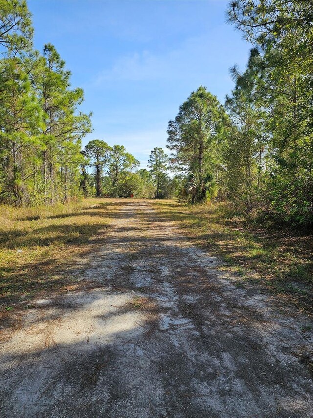 905 Wabasso Pl, Lehigh Acres, FL 33974 - photo 7