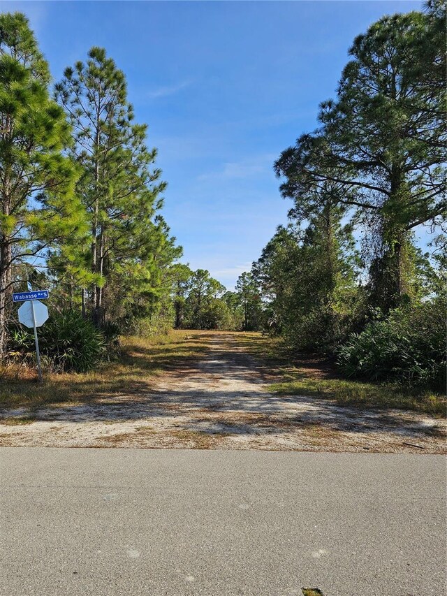 905 Wabasso Pl, Lehigh Acres, FL 33974 - photo 9