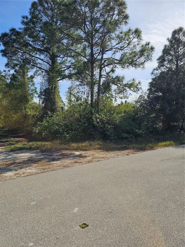 905 Wabasso Pl, Lehigh Acres, FL 33974 - photo 13
