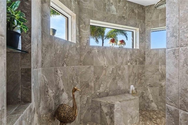 full bath with a wealth of natural light and a tile shower