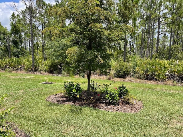 1352 Raspberry Dr, North Port, FL 34289 - view of grassy yard