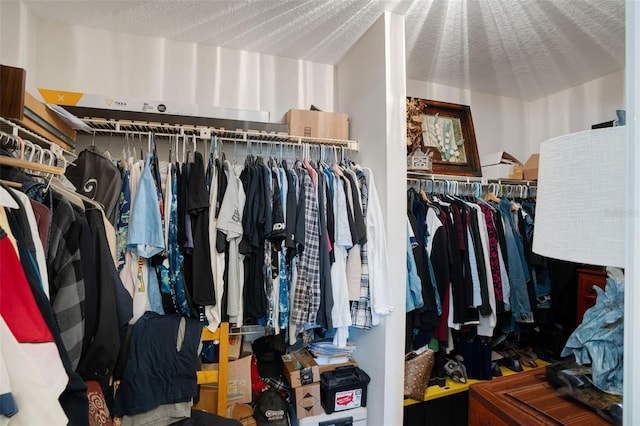 view of walk in closet