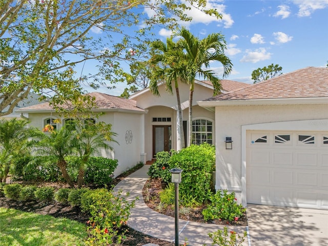 ranch-style house featuring an attached garage, a shingled roof, driveway, and stucco siding