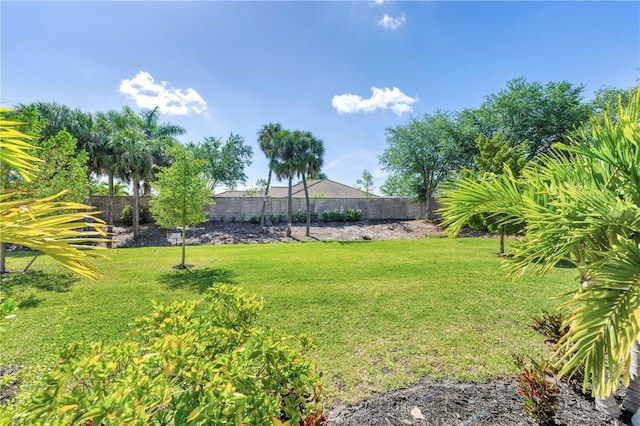 view of yard with a fenced backyard