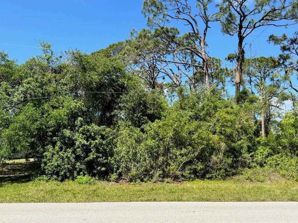 1303 Jacobs St, Port Charlotte, FL 33953 - photo 1
