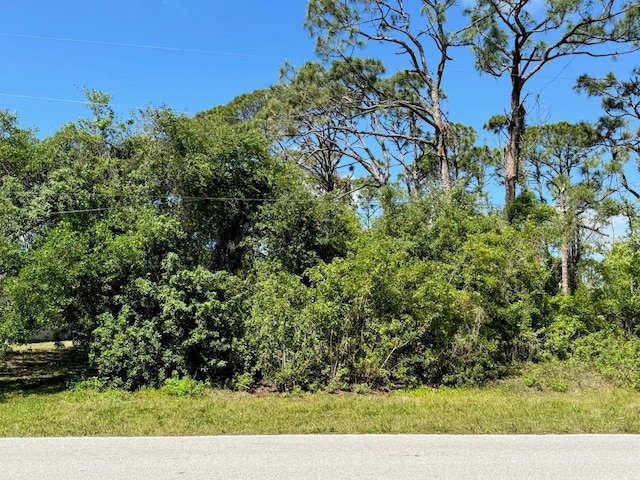 1303 Jacobs St, Port Charlotte, FL 33953 - photo 1