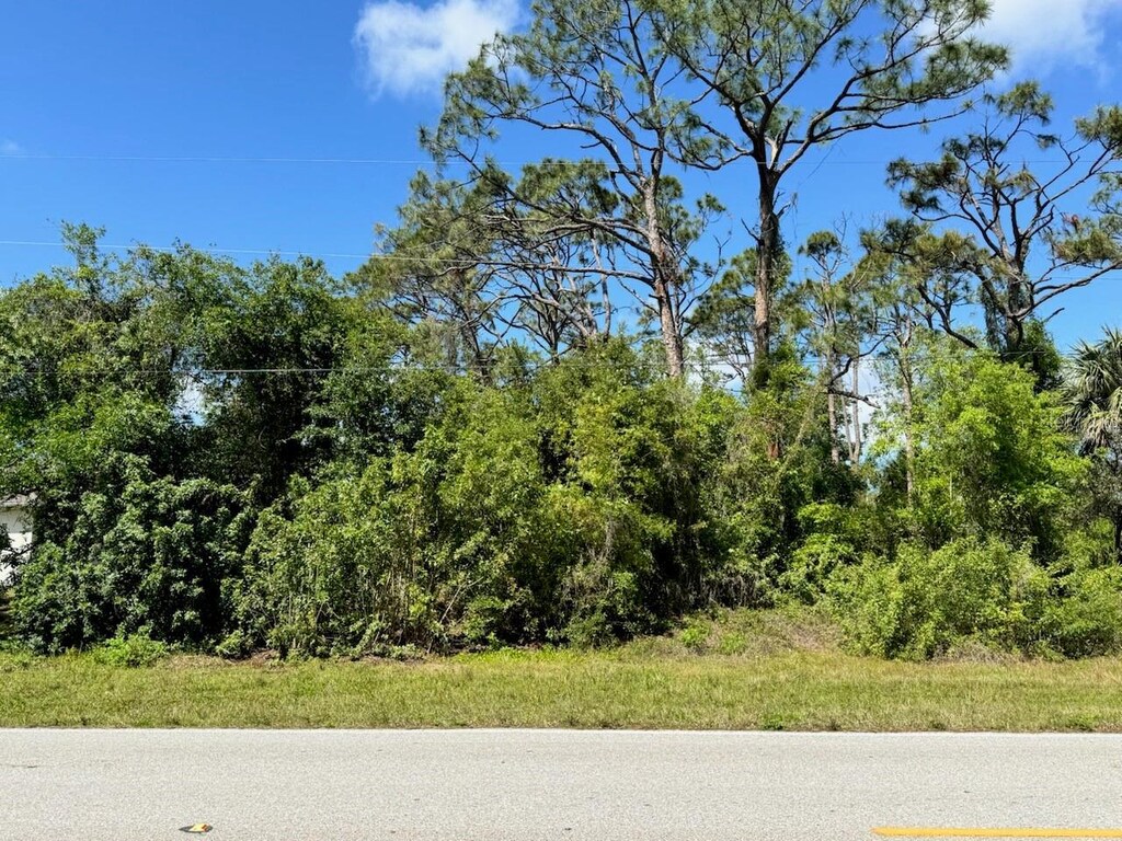 1303 Jacobs St, Port Charlotte, FL 33953 - photo 3