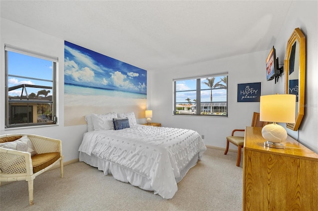 bedroom with baseboards and carpet flooring