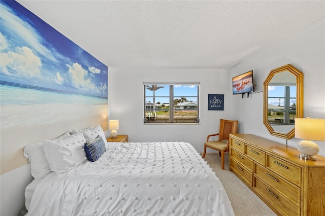 carpeted bedroom with a textured ceiling