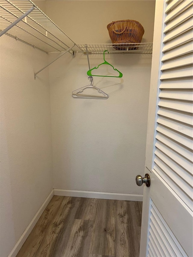spacious closet featuring wood finished floors