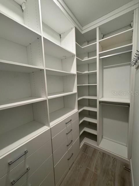 1263 Cicely Ct, North Port, FL 34289 - walk in closet with dark wood-type flooring